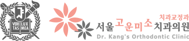 서울고운미소치과