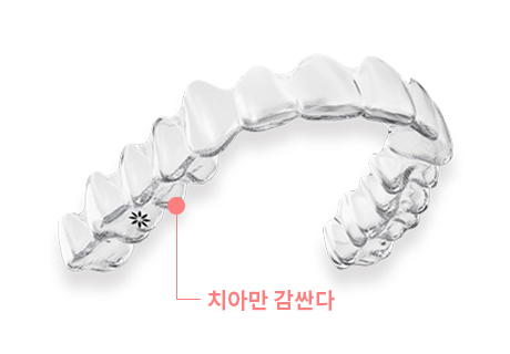 인비절라인